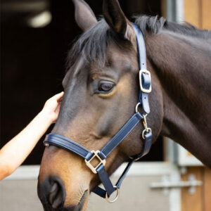 Halters