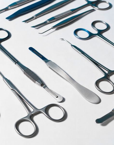 Dissecting Kit’s