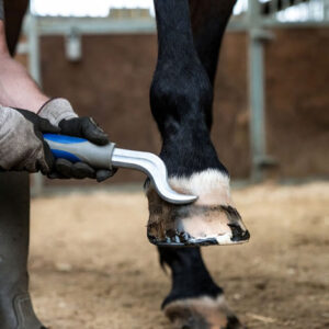 Hoof Picks