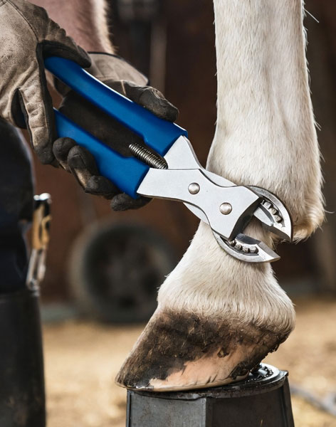 Clinch Cutter