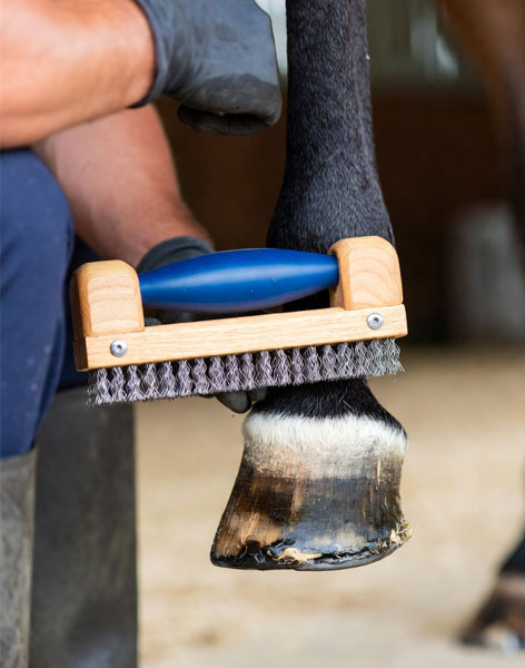 Brushes