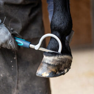Loop Knife