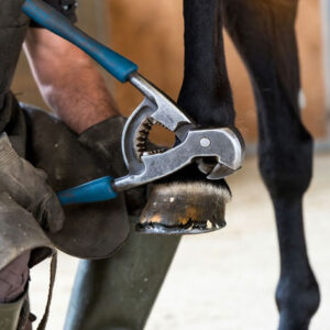 Hoof Nipper