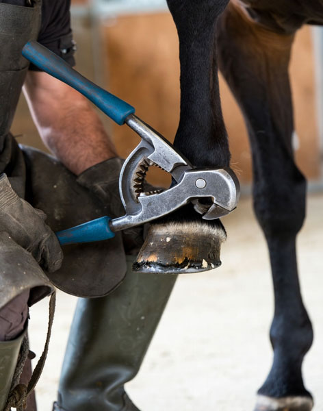 Hoof Nipper