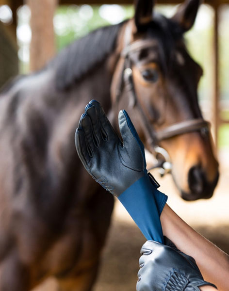 Gloves